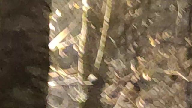 последняя ночь ноября - она будет снежной до утра 30 ноября. утро пасмурное и без осадков смотреть онлайн