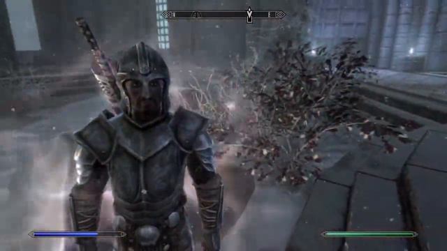 Skyrim Dragon Slayer!