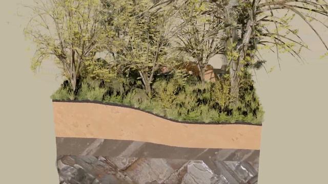 3Д диорама геологического разреза канавы