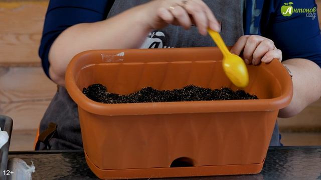 Стресс для порея! Лук-порей на рассаду смотреть онлайн