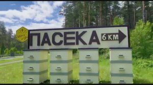Мёдом в Ухо пасека 2024 Горный Алтай #GeierTrip