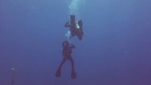 Как я училась нырять с аквалангом