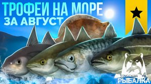 ТРОФЕИ НА НОРВЕЖСКОМ МОРЕ ЗА АВГУСТ! #рр4