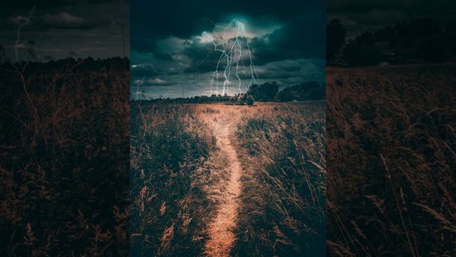 Дельфин- Миф смотреть онлайн