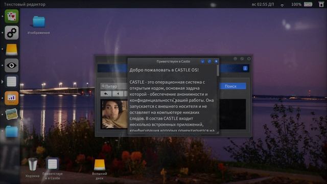 Telling Lies Выносим мусор (SILVER)Уборка на рабочем столе смотреть онлайн