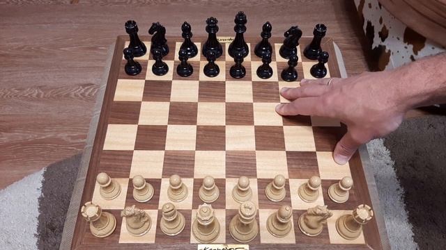 Как быстро научиться играть в шахматы. смотреть онлайн