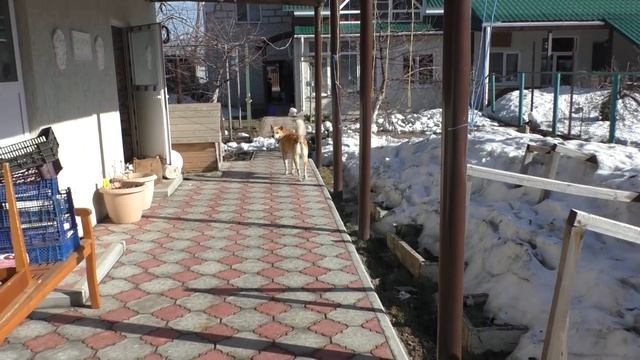 #308 ЖИЗНЬ ЗА КАДРОМ !.mp4 смотреть онлайн