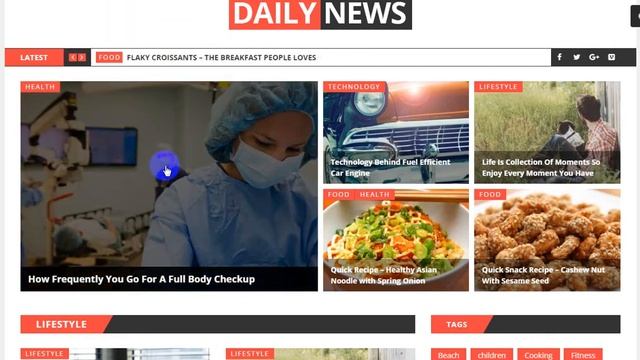 Daily News - WordPress News / Magazine And Blog Theme With Project Files