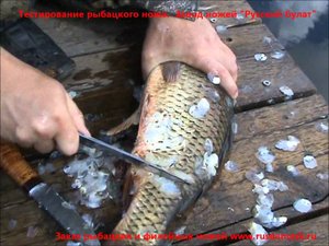 Тестирование рыбацкого ножа. Нож для чистки рыбы от чешуи видео. Отзыв "Русский булат"