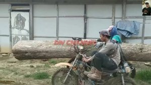 КАК И ЧЕМ ВОЗЯТ ДРОВА В РАЗНЫХ СТРАНАХ МИРА #4 / TRANSPORTATION OF FIREWOOD IN DIFFERENT COUNTRIES