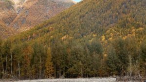 За утопленным УРАЛом