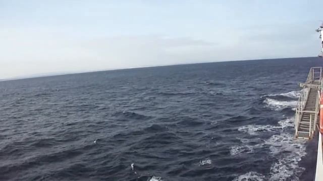 До Сахалина и обратно смотреть онлайн