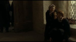 Гарри Поттер и Принц-полукровка - Гермиона ревнует Рона. Извини, но меня сейчас стошнит