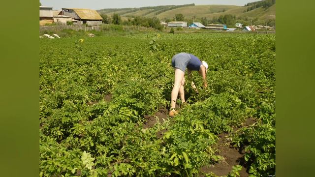 С чего начнется возрождение деревни. И было, и есть, и будет...#добраяистория #жизньвдеревне