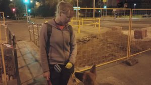 Гусева Виталия и метис Дакота. Обучение собаки преодолевать страшные места. Тольятти, 28 июня 2022.