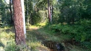 Участок на 28 км. Байкальского тракта