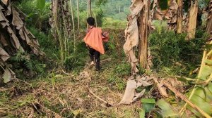 Orphan boy - everyday has to go to pick up bottles to sell in exchange for food, life is miserable