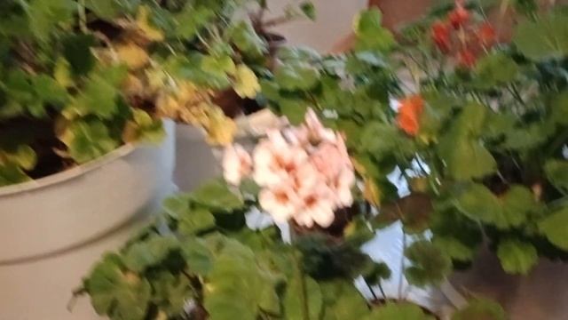 7 декабря 2021 г. смотреть онлайн