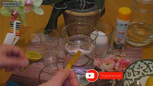 ☝️ Сколько точно надо взять сока лимона для полива орхидей?⁉️