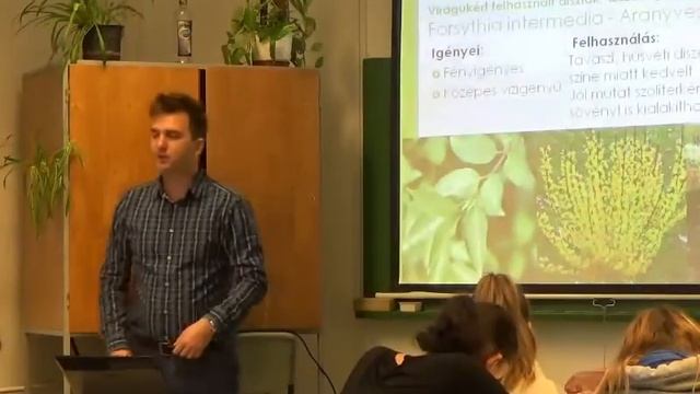 Aranyvessző - Aranyeső összekeverése: Forsythia intermedia - Laburnum anagyroides смотреть онлайн