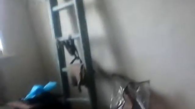 Вызов гастера он пришол смотреть онлайн