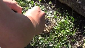 Огниво из Китая.Реально ли разжечь костер?