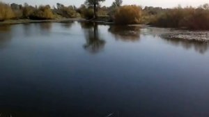 р. Чаус п. Колывань НСО