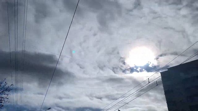 последняя неделя октября 2023: день рождения, киев, подарок #vlog смотреть онлайн