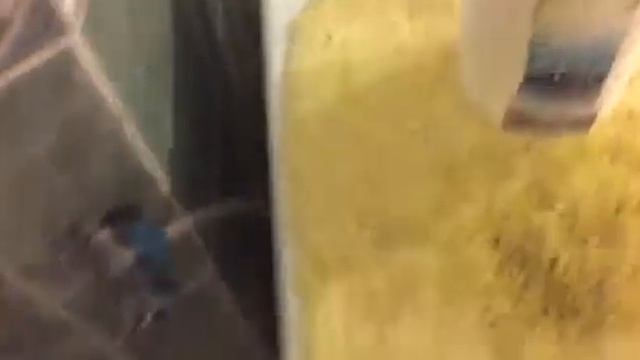 Эрсаг.Как удалить краску для волос с ковра при помощи экосредства Damla. смотреть онлайн