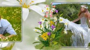 РОМАШКА Группа "Белый день"- "Ромашка"