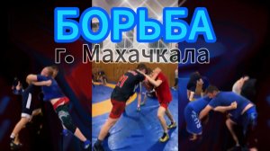 Борьба / г. Махачкала #video #live #sport #борьба #сборы