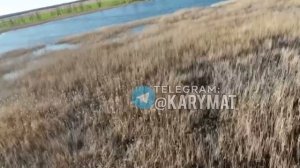 Рыбаки на Херсонщине кинули рыбу в дрон хохлов, который кружил вокруг их лодки.