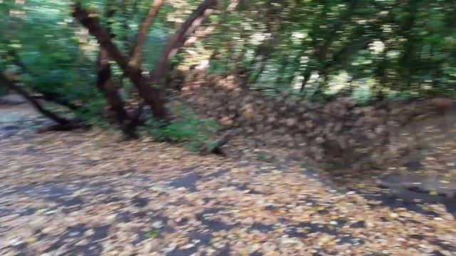 Барнаул Парк Юбилейный Самодельная велодорожка смотреть онлайн