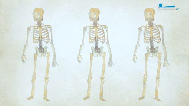 Юность Петра. Обучение грамоте и ремёслам смотреть онлайн