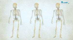 Юность Петра. Обучение грамоте и ремёслам