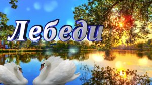 Клип на песню Руслана Алехно  "Лебеди"