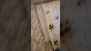 Дом за 1 доллар за 10 долларс и за 20 тысяч долларс