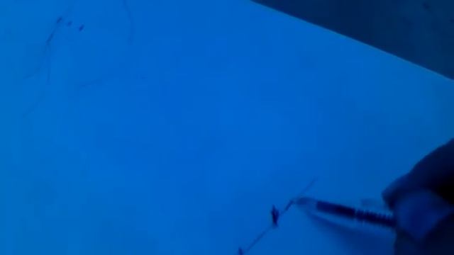 Секреты и хитрости рыбалки # 2 .