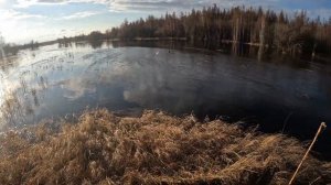 Весенняя охота на уток в Якутии 2022