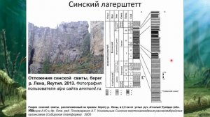 Ярослав Попов: Кембрийский период"