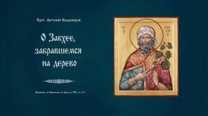 "О Закхее, забравшемся  на дерево". Проповедь протоиерея  Артемия Владимирова. 140221.