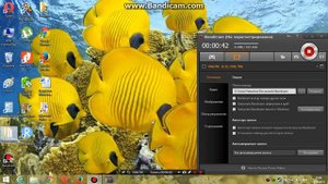 как включить целевое окно в bandicam
