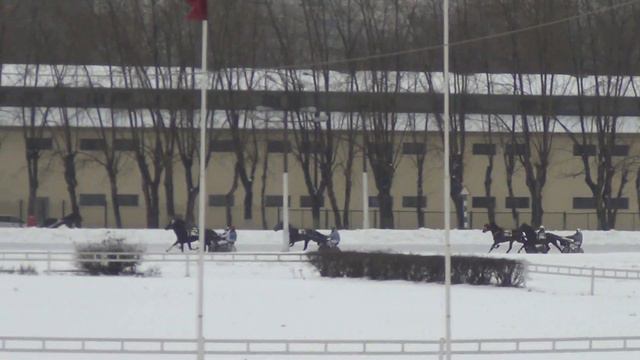 Московский ипподром. Бега. 22.12.13. Заезд 5(614) смотреть онлайн