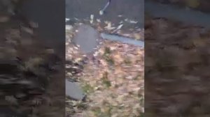 Центр обеспечения мобильности пассажиров в Московском метрополитене