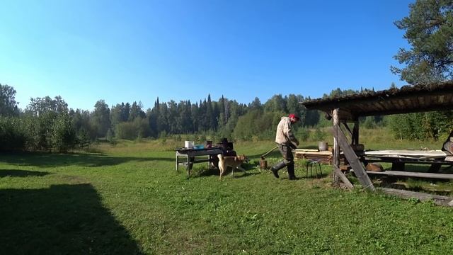 Поехал в лесную избу. Разобрал беседку.  Сварил уху из трёх окуней. 1 серия.  /Поход БЕСЕДКА /