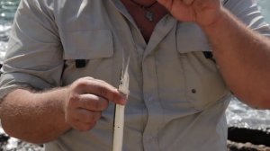 Трофей на море. 25 серия. Ловля саргана на животную приманку.