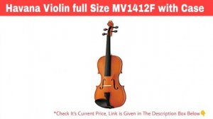 Top 10 Best Violin in India With Price | Best Violin 2022