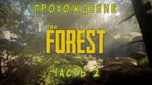 The forest прохождение часть 2