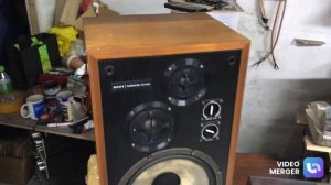 Sony ss-5050 & Yamaha a-8