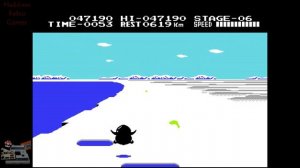 Antarctic Adventure Famicom _ NES _ Dendy